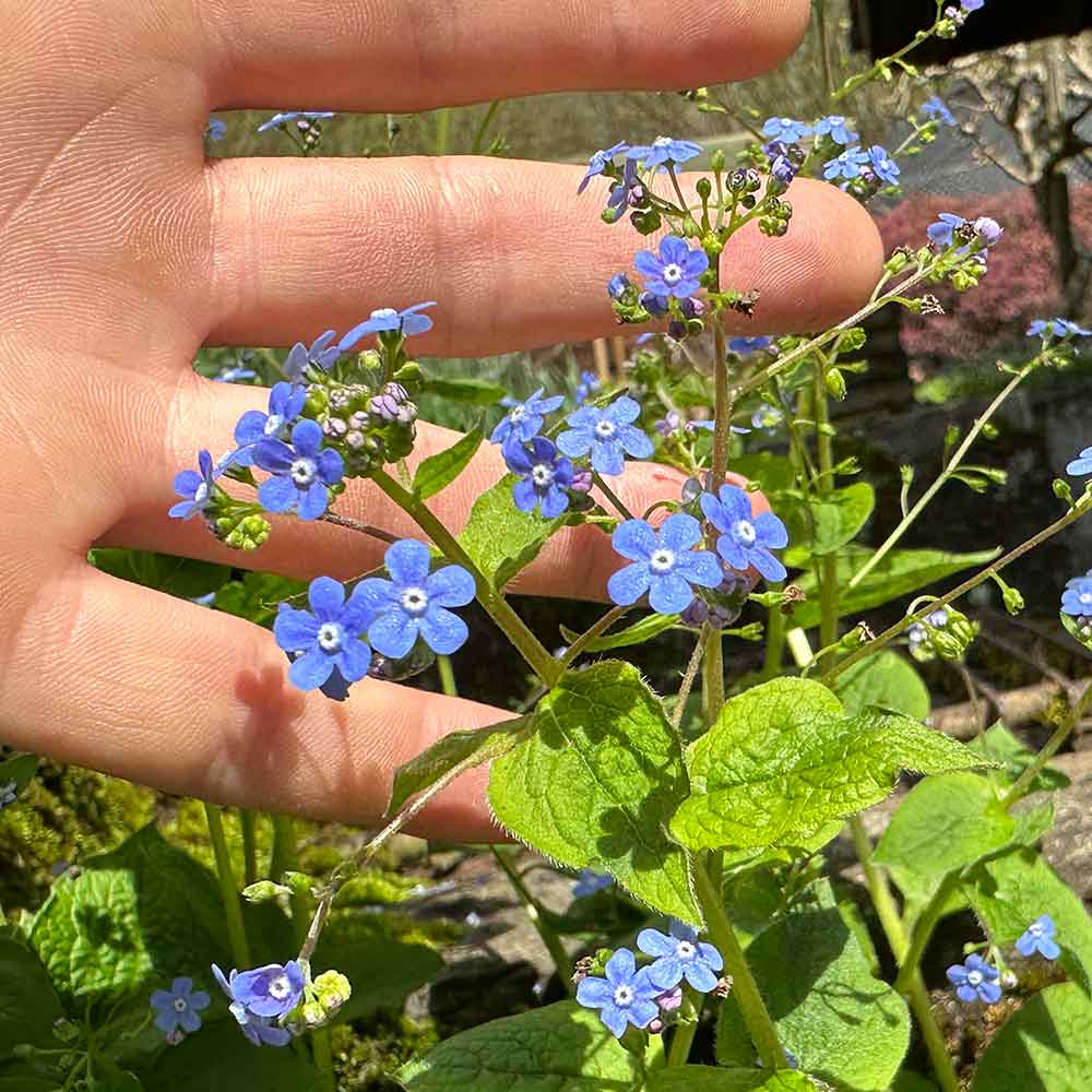 Me portrait Metatron